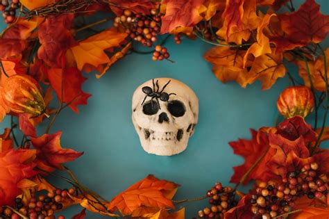 Décoration Halloween Avec Crâne Et Feuilles Dautomne Photo Gratuite