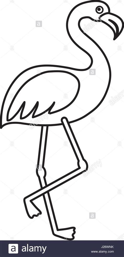 Flamingo Clipart Black And White Ideas Clipart Black And White Clip
