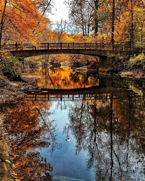 Best Places To Photograph Fall Foliage In Dc Local