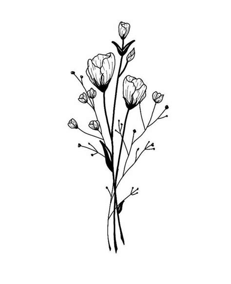 Maybe you would like to learn more about one of these? Pin by Tina Peng on Flowers roses & plants drawings ...