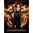 Help Katniss Everdeen To Victory In The Hunger Games Panem Rising For IOS