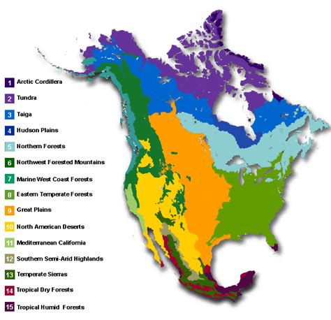 North America Biome Map