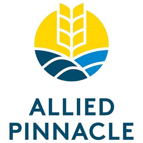 Allied Pinnacle Case Study Cnbs Software