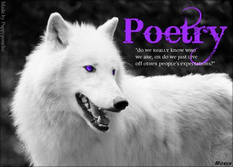 Sad Wolf Poems Submited Images