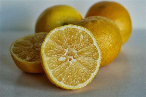 The Story Of Sweet Lemon — Sweet Lemon And Salt