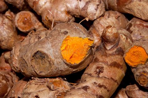 Raw Turmeric Stock Photo Image Of Rough Colorful Blend