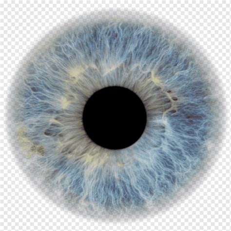 파란 눈의 홍채 안구 동공 눈동자 인간의 눈 눈 푸른 렌즈 사람들 Png Pngwing