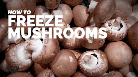How To Freeze Mushrooms Stuffed Mushrooms Freezing Mushrooms