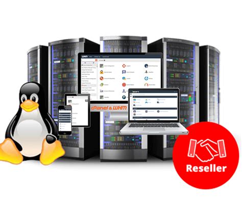 cPanel SSD Reseller Hosting | Linux Reseller Web Hosting | Wordpress Reseller Hosting | Cheap ...