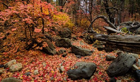Sedona2709 Autumn Colors In Sedona Arizona Michael Wilson Flickr