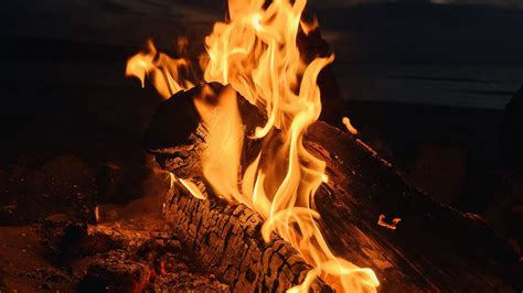Download Wallpaper 1920x1080 Bonfire Fire Flame Night Dark Full Hd