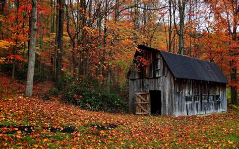 Rustic Autumn Wallpapers Top Free Rustic Autumn Backgrounds Wallpaperaccess