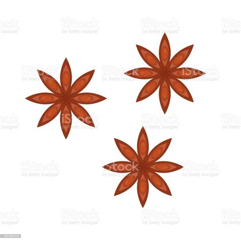 Set Of Anise On White Stock Illustration Download Image Now Anise
