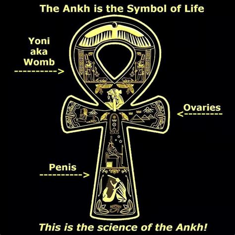 Pin By Ebony Creative Spirit 3 3 63 On Ankh Of Life Symbols Life Symbol African Symbols