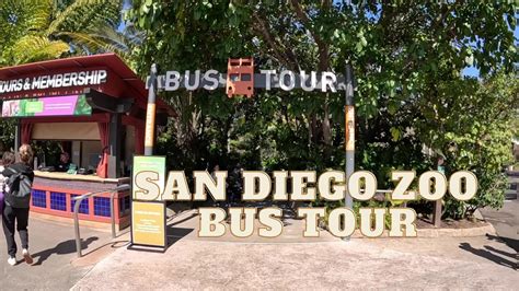 San Diego Zoo Bus Tour Full Pov Youtube