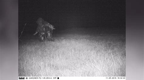 Trail Cam Captures Werewolf And Other Strange Things
