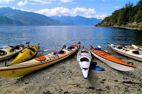 Kayak The Realm Of The Whales In British Columbia British Columbia