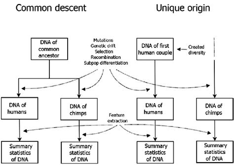 •many lines of evidence pointed to evolution, but it was the 19th century naturalists charles darwin & alfred russel wallace who discovered the primary mechanism of evolution: Illustration of the two competing models of human history ...