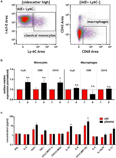 Activation Of Monocyte And Macrophage Splenocyte Subpopulations After