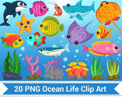 Underwater Bundle Ocean Life Clip Art Digital Paper Cute Sea Etsy