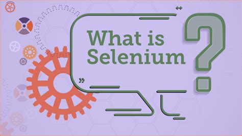 What Is Selenium Everything You Need To Know About