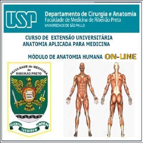 Anatomia TopogrÁfica Aplicada Para Medicina Anatomia Humana Turma