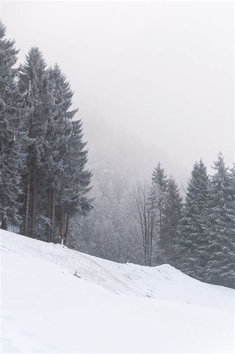 Slope Trees Snow Snowstorm Winter Hd Phone Wallpaper Peakpx
