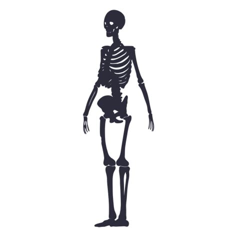 Esqueleto Silueta Lado Baixar Pngsvg Transparente