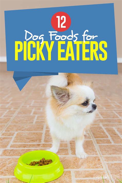 If so, you're not alone. Top 12 Best Dog Food for Picky Eaters and Dogs That Won't ...