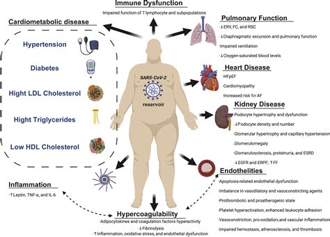 Obesity And Outcomes In Covid 19 When An Epidemic And Pandemic Collide