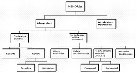 La Memoria Y Sus Tipos