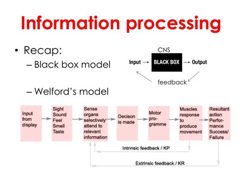 Ppt Chapter 5 Information Processing Powerpoint Presentation Free