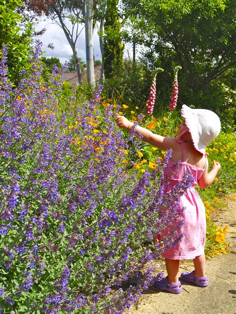 With spring just around the corner, now is the perfect time to break out your tools, put on your gardening gloves and get busy outside! Spring in the Blue Mountains - The Season of Joy - Sydney