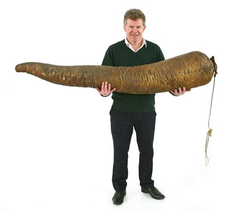 Sold A Stuffed Whale Penis For Atlas Obscura