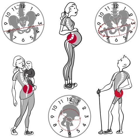 Exercises For Sacroiliac Si Joint Dysfunction Pelvic Clock Exercise Device