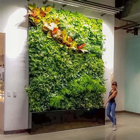 Plants On Walls Florafelt Living Wall Systems Vertical Gardens And