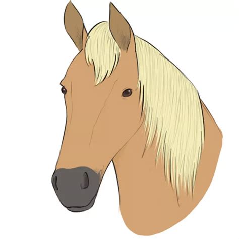 How To Draw A Horse Head Easy Drawing Art