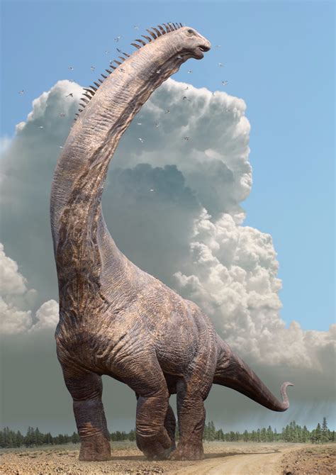 Alamosaurus Dinosaur Dinosaur Pictures Prehistoric Animals