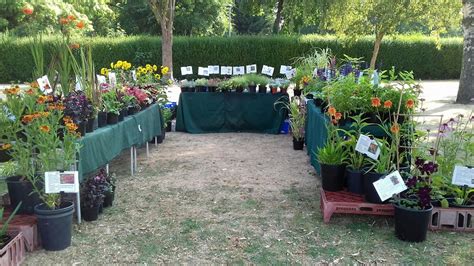 We did not find results for: Stannard Plants