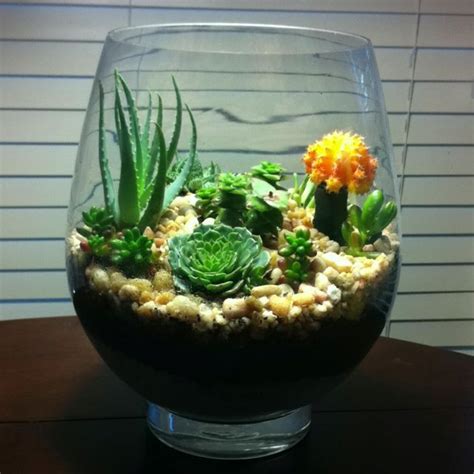 How to make cactus & succulent plant soil in 3 easy steps подробнее. Easy to make terrarium. Old fish bowl Pea gravel Perlite ...