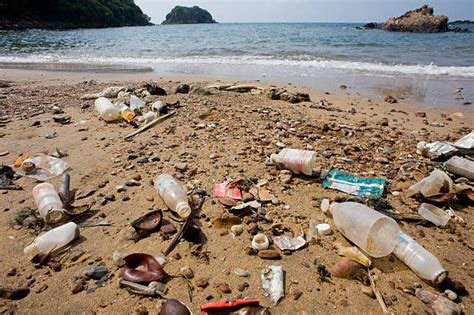 Trash Beach Stock Photos Pictures And Royalty Free Images Istock