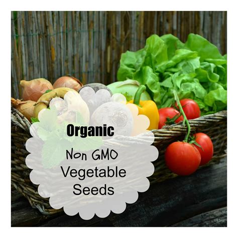 Where to Buy Organic Vegetable Seeds - Organic Palace Queen