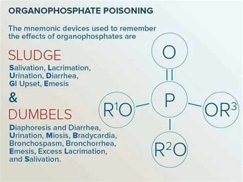 Organophosphate Poisoning Forensic Toxicology Mnemonic Devices Hair