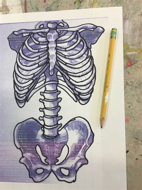 Art Room Blog 5th Grade Skeleton Torso Project