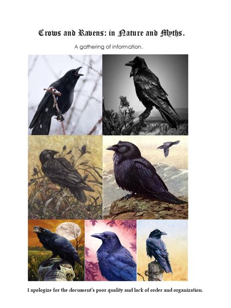 Crows And Ravens Mythology Religion And Belief