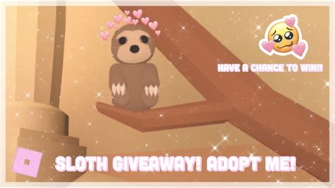 Sloth Giveaway Roblox Adopt Me Youtube