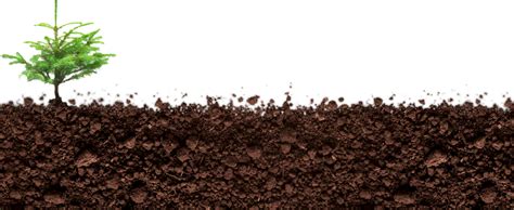Soil Png 10 Free Cliparts Download Images On Clipground 2024
