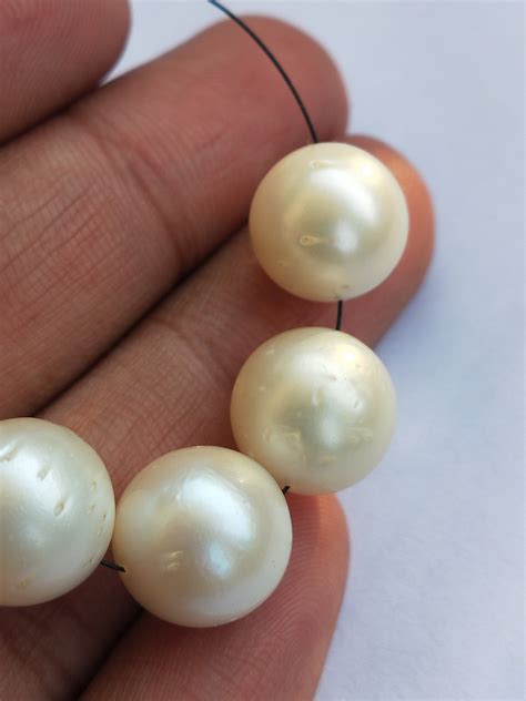 Rare Precious Natural South Sea Australian Pearls 12mm 5 Etsy UK