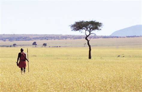 Maasai Mara Tourism Impacts Best Tourist Places In The World