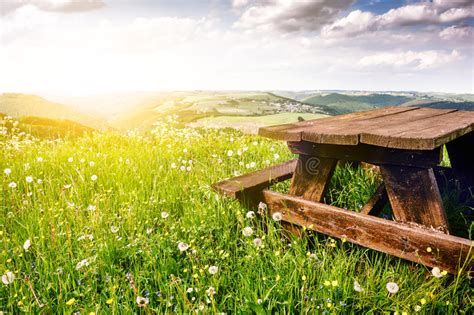 Beautiful Summer Landscape With Wooden Bench Stock Image Image Of